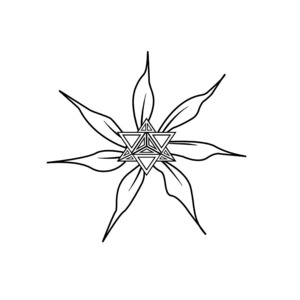 Hemp Collectables: MERKABA Gift Card