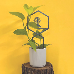 The Cool Lection: Pīwakawaka Plant Trellis