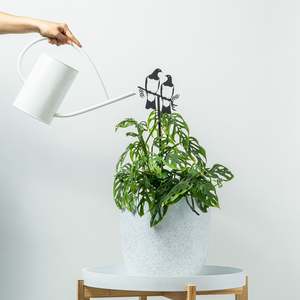 The Cool Lection: Kererū Pair Plant Stake - 100cm
