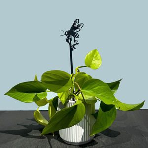 The Cool Lection: Honey Bee Plant Stake - 70cm