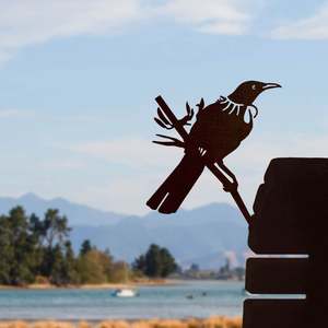 Limited Time Offer: Tūī