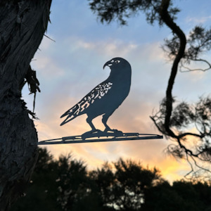 Urban art bird form: Couldn't Kea Less