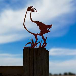 All: Pūkeko