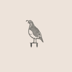 All: Mini Quail