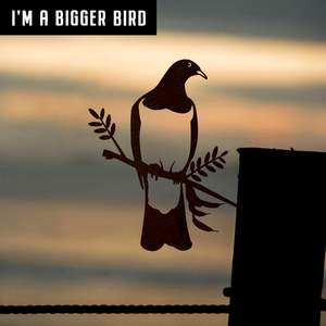 Signature Styles: Kererū / Woodpigeon - Large