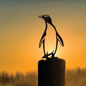 Ground Birds: Hoiho / Yellow-eyed Penguin