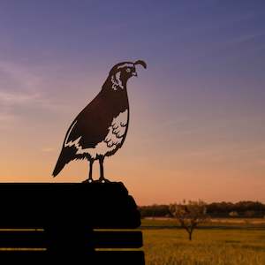 Urban art bird form: California Quail