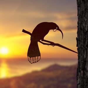 Conservation Birds: Huia