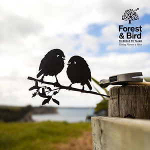 The Birds: Karure (Black Robin) Pair
