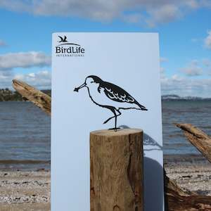 Spoon-Billed Sandpiper