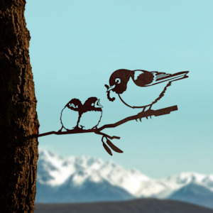 Waxeye / Tauhou & Chicks