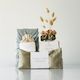 The Indulge Set