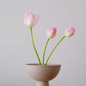 Fresh Florals: Tulips + Ikebana Set