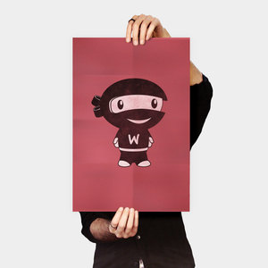 Products: Woo Ninja