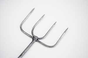 Products: 4 Prong Toasting Fork Handforged NZ