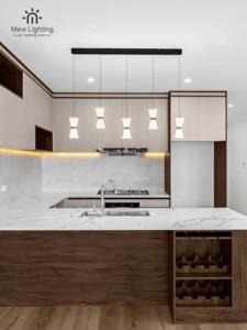 Pendant Light: PD106-5 Modern Pendant Light
