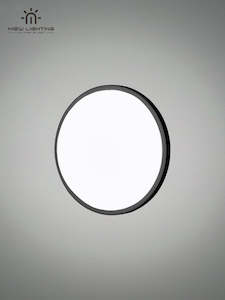 WO130 Round Outdoor Ceiling Light