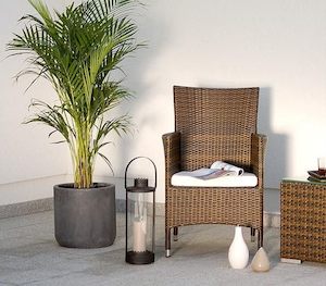 Outdoor Dining: PE Rattan outdoor Victory Dining Chair*Special*