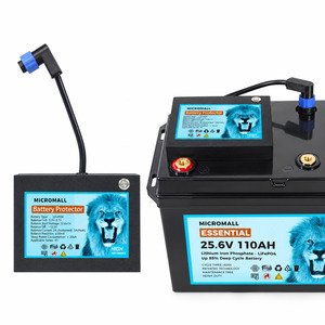 Battery Packages: Micromall 25.6V 110Ah Lithium Battery Essential LiFePO4 Battery Deep Cycle Battery with 8S Battery Protector