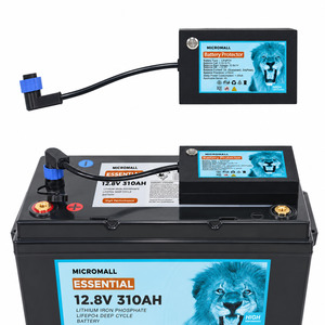 Battery Packages: Micromall 12.8V 310Ah LiFePO4 Deep Cycle Battery Essential with 4S Battery Protector