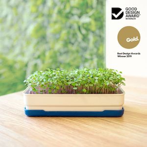 grotray: STARTER KIT