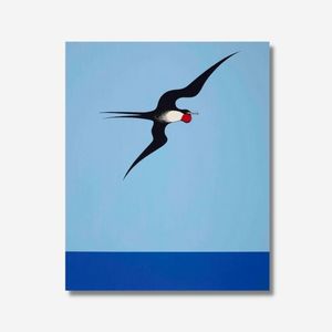Te Papa - Don Binney Pacific Frigate Bird Art Print