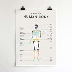 Squared Charts - Human Body