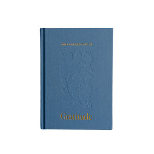 Olive Page: Olive + Page - One Hundred Days of Gratitude – Sky Blue