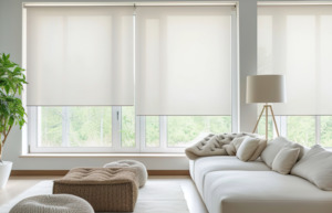 Blinds: HARVEYS 5% SUNSCREEN CUSTOM ROLLER BLINDS