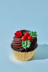 Christmas Pre Order - GF Cupcakes