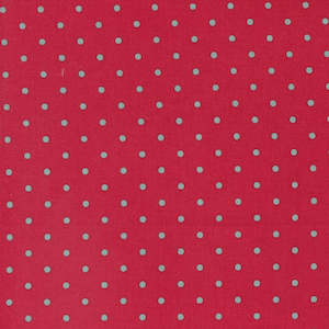 Stripes Spots Dots: My Summer House ~Aqua dots on Red