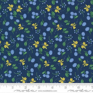 Cottage Bleu~Little Drawings~ Floral Butterflies~midnight