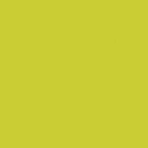Ruby And Bee: Ruby & Bee Solids~ avocado
