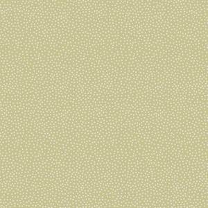 The Birdhouse: The Birdhouse Basics~ sage green dots