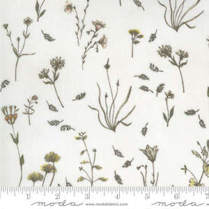 Janet Clare Botanicals: Janet Clare "Botanicals"~ field flowers~ parchment