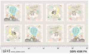 Star Bright Panel~Grey Boxes