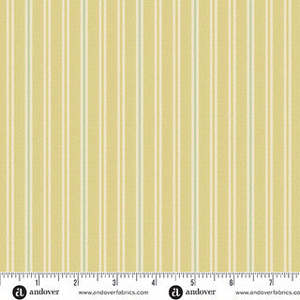 Laundry Basket Quilts~ Quiltessentials~ Double Stripe Daisy