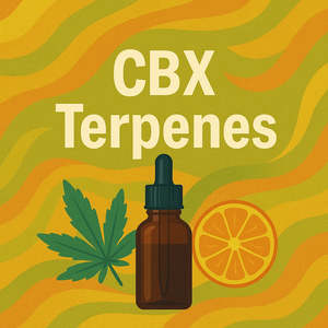 CBX Terpenes - Linalool - Pure Terpene Isolate