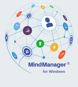 Products: MindManager Professional 24 Subscription (Government)
