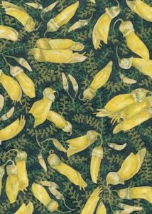 Products: A World of Patterns Boxed Postcards - Minerva