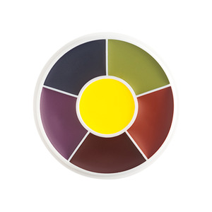Sfx Kits Palettes: Ben Nye Large SFX Wheels