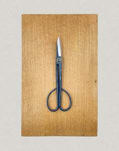 Tools 1: Pruning Scissors