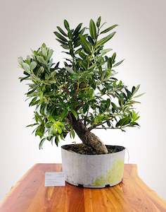 Selling On Behalf: Pōhutukawa 2