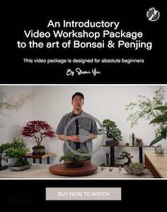 Nz Bonsai Diy Kit: Video Introductory course to the Art of Bonsai + Juniper Demo