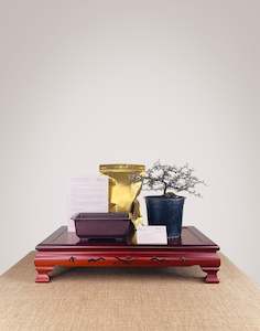 Nz Bonsai Diy Kit: Corokia DIY KIT (Exclude Tools & Wires)