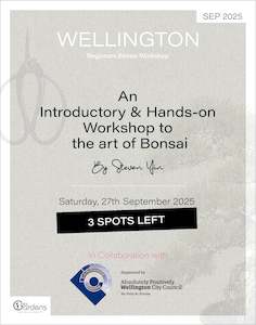 Beginners Bonsai Workshop | 27th September 2025