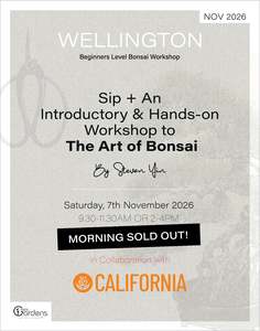 Bonsai Workshops: SIP + Beginners Bonsai Workshop | 7th November 2026