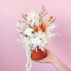 Preserved Arrangement - Brazen