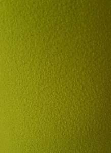 Products: Lime Microfleece