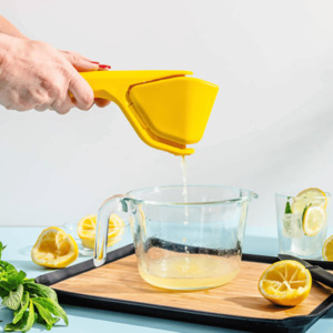 Dreamfarm: Fluicer - Fold Flat Juicer